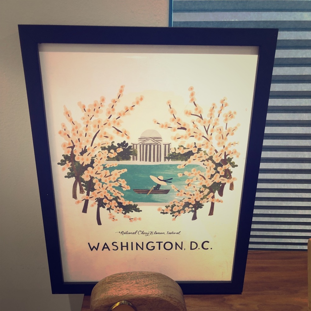 Rifle Paper Co. framed DC print